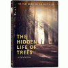 The_hidden_life_of_trees__