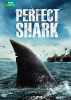 Perfect_shark