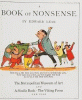 A_book_of_nonsense