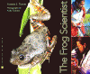 The_frog_scientist