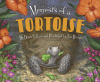 Memoirs_of_a_tortoise