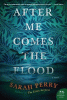 After_me_comes_the_flood
