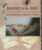 Journey_to_the_ants