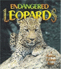 Endangered_leopards