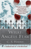 What_angels_fear