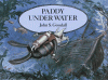 Paddy_under_water