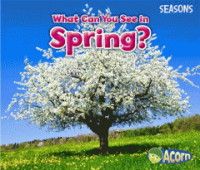 What_can_you_see_in_spring_