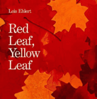 Red_leaf__yellow_leaf