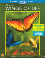 Wings_of_life