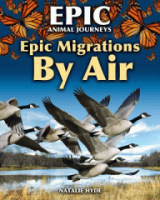 Epic_migrations_by_air