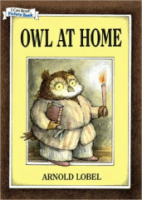 Owl_at_home