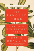 The_tangled_tree