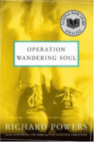 Operation_wandering_soul