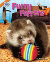 Furry_ferrets
