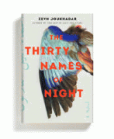 The_thirty_names_of_night