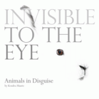 Invisible_to_the_eye