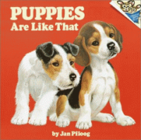Puppies_are_like_that