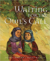 Waiting_for_the_Owl_s_Call