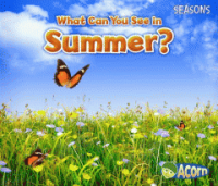 What_can_you_see_in_Summer_