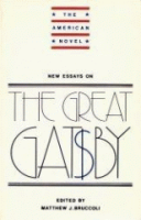 New_essays_on_The_great_Gatsby