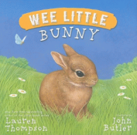Wee_little_bunny