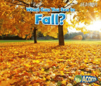What_can_you_see_in_Fall_