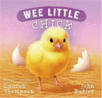 Wee_little_chick