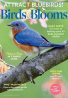 Birds___blooms
