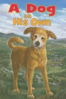 A_dog_on_his_own