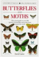 Butterflies_and_moths