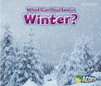 What_can_you_see_in_winter_