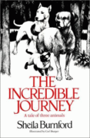 The_incredible_journey