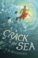 A_crack_in_the_sea