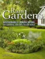 Rain_gardens