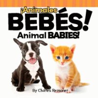 Animales_beb_____s___