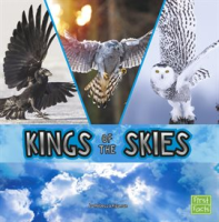 Kings_of_the_Skies